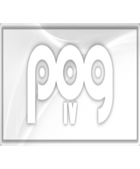 POG 4 Steam Key GLOBAL
